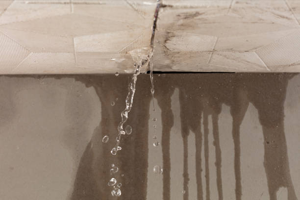 Professional Water Damage Inspection technician working in Warrenton, VA